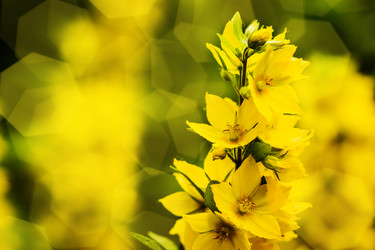 Similar image 13121839