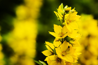 Similar image 13121840