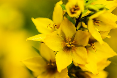 Similar image 13121841