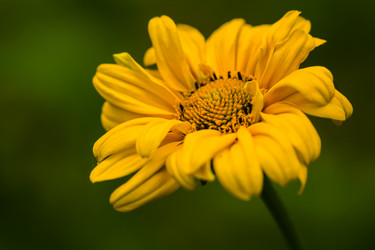 Similar image 13121842