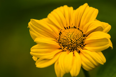 Similar image 13121843