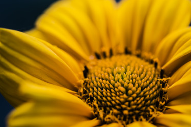 Similar image 13121844