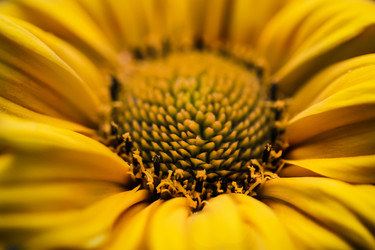 Similar image 13121845