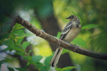 Similar image 13122467