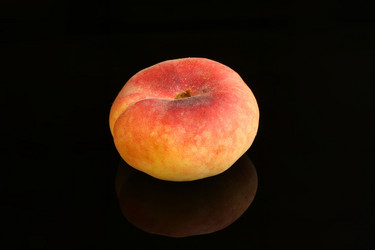 Similar image 13123231