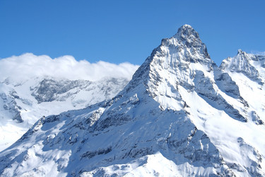 Similar image 13119909