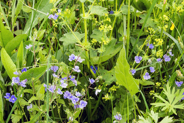 Similar image 13119883