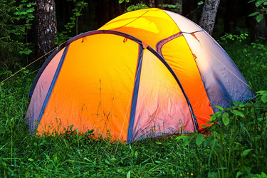 Similar image 13119884