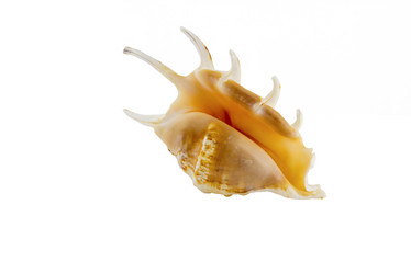 Similar image 13119887