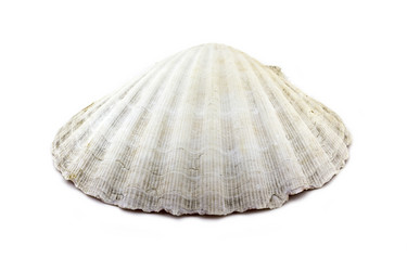 Similar image 13119888