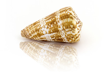 Similar image 13119889