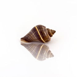 Similar image 13119890