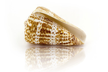 Similar image 13119891