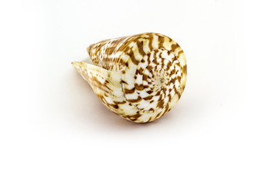 Similar image 13119895