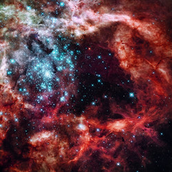 Similar image 13122723