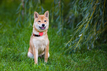 Similar image 13120287