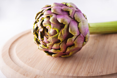 Similar image 13120183