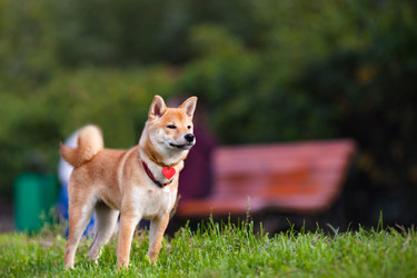 Similar image 13120207