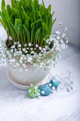 Similar image 13120244