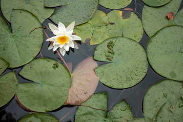 Similar image 13120048