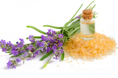 Similar image 13120772