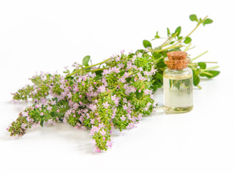 Similar image 13122139