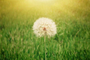 Similar image 13120562