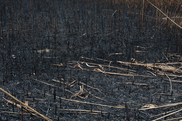 Similar image 13120563