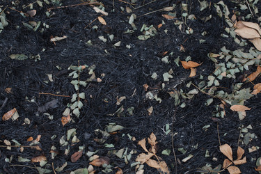 Similar image 13120565