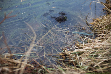 Similar image 13120567