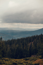 Similar image 13120574