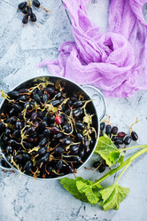 Similar image 13122320