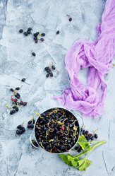 Similar image 13122321