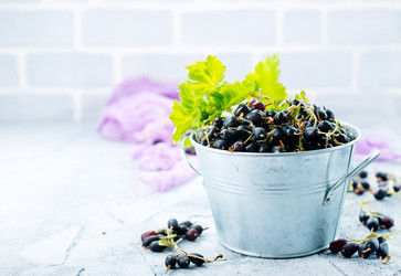 Similar image 13122325