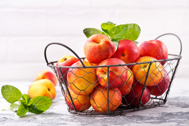 Similar image 13122337