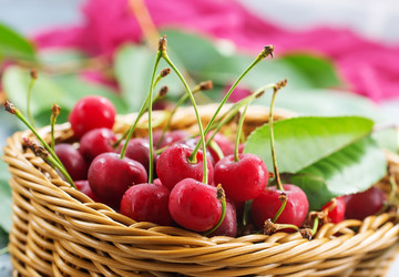 Similar image 13122390