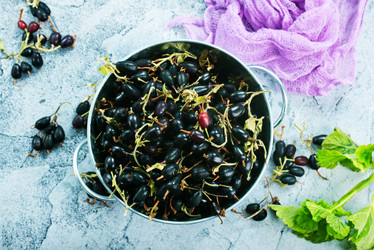 Similar image 13122394