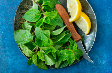 Similar image 13122399