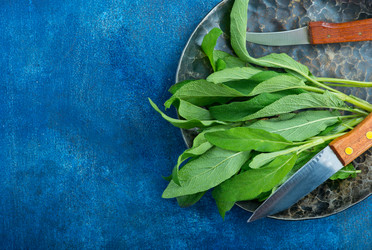 Similar image 13122402