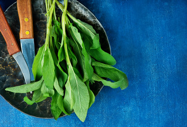 Similar image 13122403