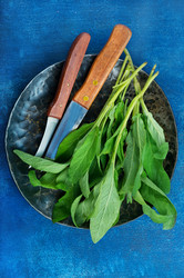 Similar image 13122405