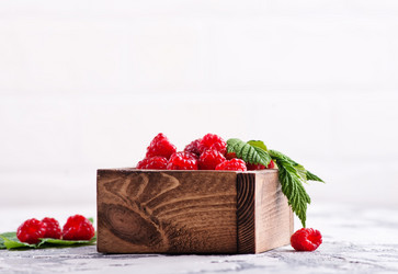 Similar image 13122283