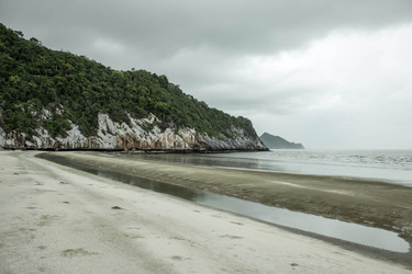 Similar image 13120708