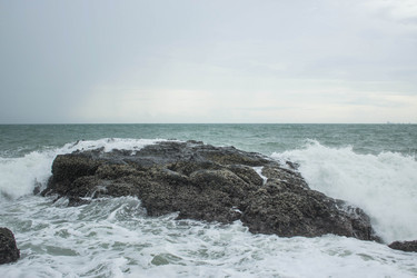 Similar image 13120718