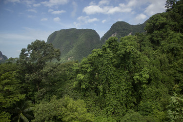 Similar image 13120720