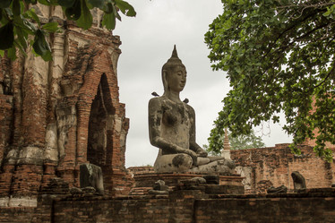 Similar image 13120734