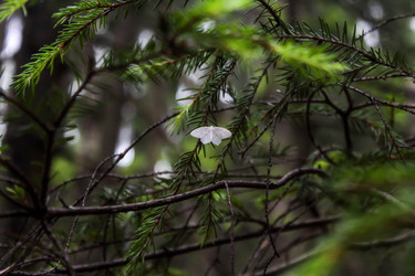 Similar image 13120737