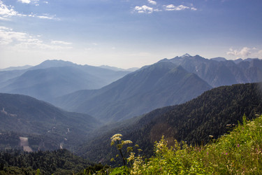 Similar image 13120741