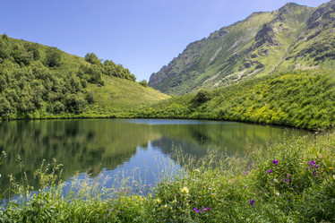 Similar image 13120743