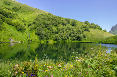 Similar image 13120745